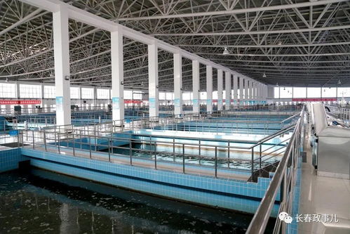 王凱在第一凈水廠檢查指導(dǎo)全市供水工作時要求 強化極限思維,提升能力建設(shè),切實保障群眾用水和都市圈發(fā)