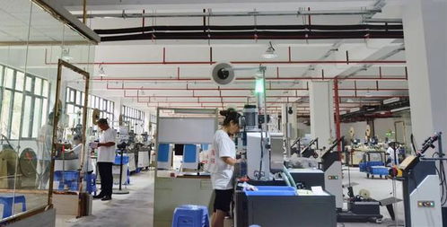 徐本國(guó) 把工廠從深圳搬回云陽 為家鄉(xiāng)發(fā)展出一份力