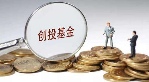 資本新布局 達晨創投入股河南文投旗下懷樸投資，加速文化產業投資版圖擴張